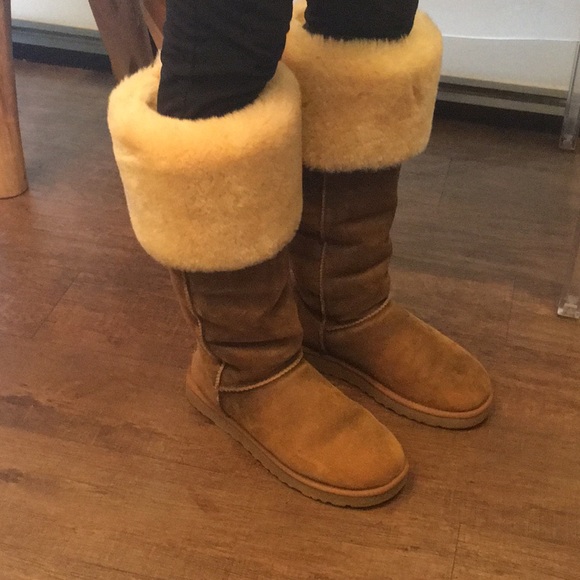 very tall ugg boots